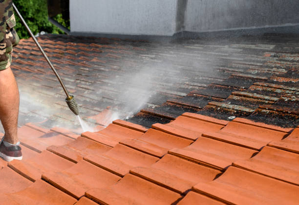 Best Best Pressure Washing Companies  in Reading, OH